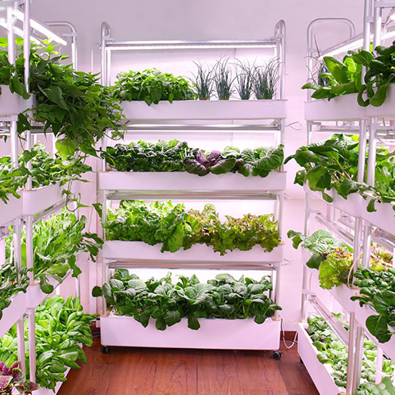 نظام زراعة الزراعة المائية عمو - مراجعة Hydroponic Tower Planter وسعره